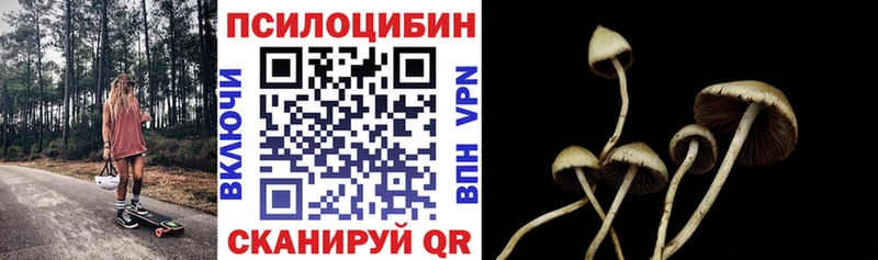 наркота  Кубинка  Псилоцибиновые грибы Psilocybine cubensis 