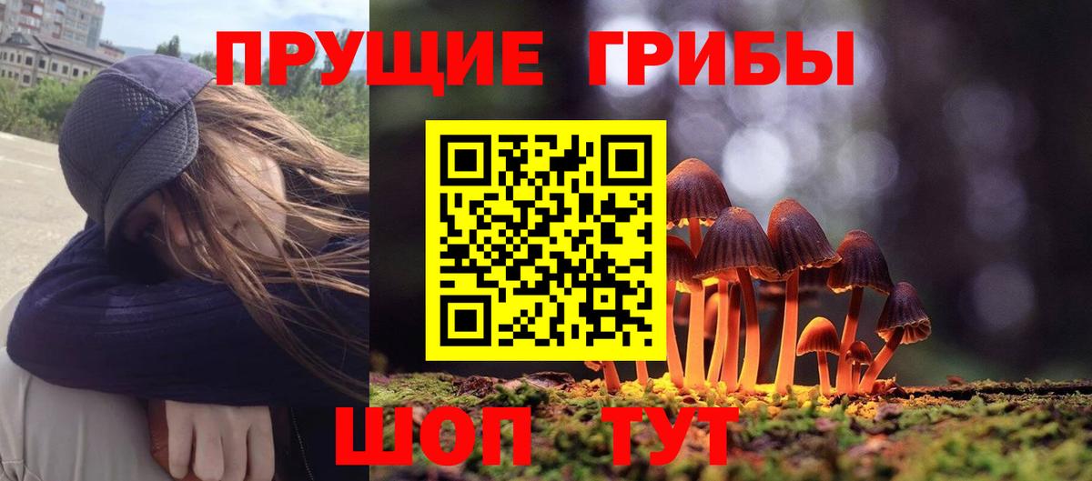 Кубинка  Галлюциногенные грибы мицелий  Галлюциногенные грибы GOLDEN TEACHER  Вход с VPN 